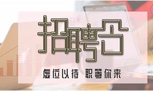 服務商戶，致力發(fā)展—安徽分公司合肥濱湖店攜手優(yōu)質商戶人才招聘會 