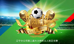 遼寧專場丨第二屆“大力神杯”足球賽圓滿落幕！